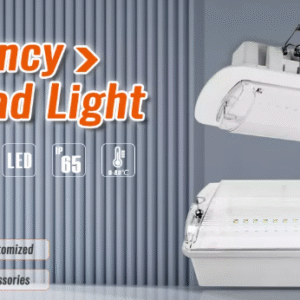 IP65 LED Emergency Bulkhead Light for Staircase & Corridors